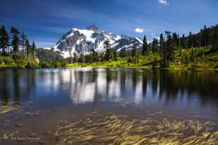 Mt. Shuksan-2100